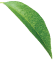 Leaf 3
